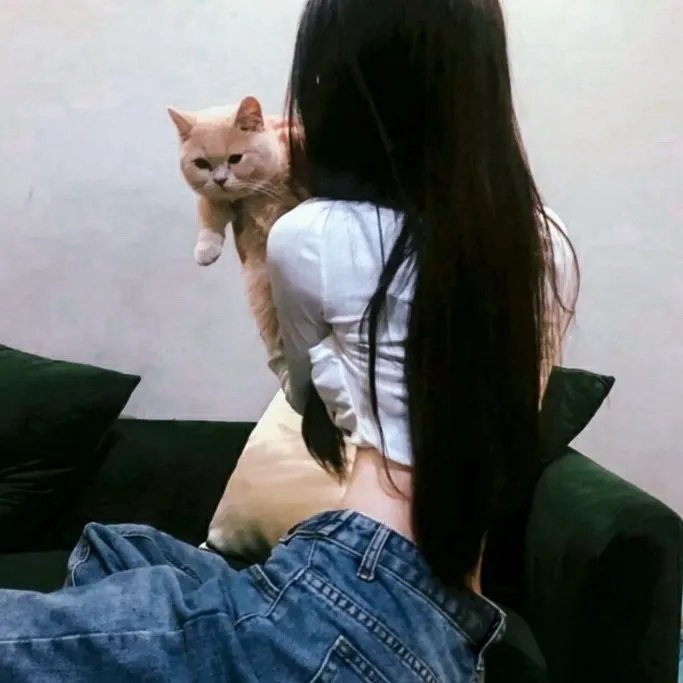 伍六七之最强发型师
