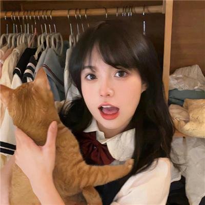 新蝶恋花